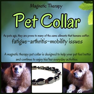 May include: A black magnetic therapy pet collar with oval-shaped magnets. The collar is designed to help pets with fatigue, arthritis, and mobility issues. The image shows a small dog wearing the collar.