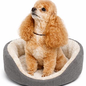 Magnetic Hematite Pet Collar: Copper Accents, Wellness Therapy