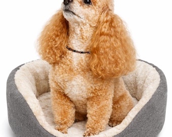 Magnetic Hematite Pet Collar: Copper Accents, Wellness Therapy