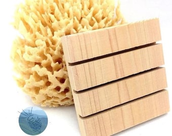 Cedar Wood Soap Dish: Natural Spa Shower Deck (Set of 50)