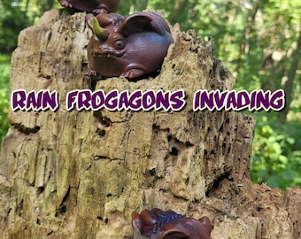 Rain Frogagons