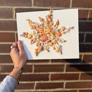 Puede incluir: Un lienzo blanco con un diseño de estrella solar hecho de varias conchas marinas. Las conchas son de tonos beige, naranja y crema, con pequeñas cuentas de vidrio amarillo. La obra de arte se sostiene contra un fondo de pared de ladrillo.