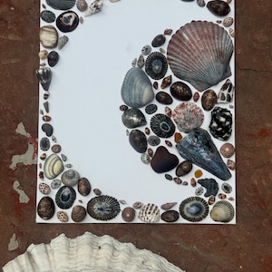 Puede incluir: Un lienzo rectangular blanco decorado con una disposición en forma de media luna de diversas conchas marinas y piedras. La colección incluye texturas, tamaños y tonos variados de gris, marrón, negro y blanco, creando un patrón natural.