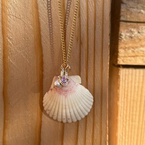 Puede incluir: Un collar de cadena dorada con un colgante de concha blanca. El colgante tiene un acento rosa y morado y una pequeña perla. El collar se muestra sobre un fondo de madera.
