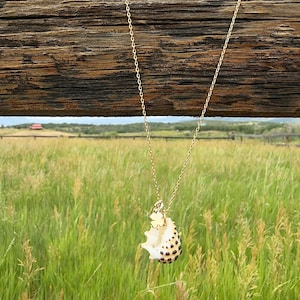 Puede incluir: Un collar de cadena de metal en tono dorado con un pequeño dije de trébol de cuatro hojas y un colgante de concha marina blanca con manchas de color marrón oscuro. El collar cuelga de una viga de madera horizontal sobre un campo verde.