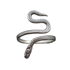 Könnte beinhalten: Ein silberner Schlangenring mit strukturierter Oberfläche. Die Schlange ist um den Ringband gewickelt und hat einen detaillierten Kopf mit einem Auge.