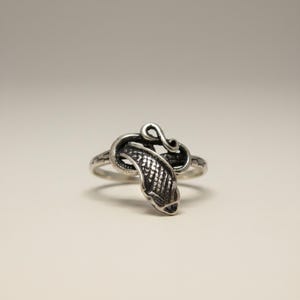 Könnte beinhalten: Ein silberfarbener Ring mit einem gewundenen Schlangendesign. Das Metall hat ein oxidiertes Finish, das das texturierte, schuppenartige Muster auf dem Körper der Schlange hervorhebt. Der Schlangenkopf befindet sich in der Mitte, während sich der Schwanz windet.