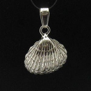 May include: A silver-toned pendant shaped like a realistic seashell with prominent vertical ridges and a textured surface. The pendant features a polished metallic finish and is attached to a simple silver-toned bail, suspended from a thin black cord.