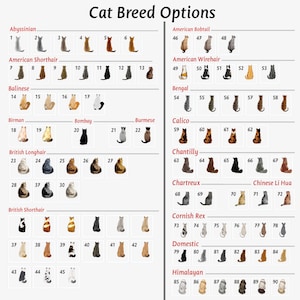 May include: A chart with images of different cat breeds, labeled with their names. The chart is divided into rows and columns, with each breed having its own section. The chart includes breeds such as Abyssinian, American Shorthair, Balinese, Birman, Bombay, Burmese, Calico, Chantilly, Chartreux, Chinese Li Hua, Cornish Rex, Domestic, and Himalayan.