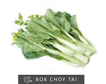 Bok Choi Tai Seeds | Heirloom Flowering Chinese Cabbage, Heat-Tolerant