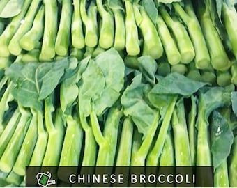 Gai Lan Seeds | Heirloom Chinese Broccoli, Nutty Sweet Flavor | 200+