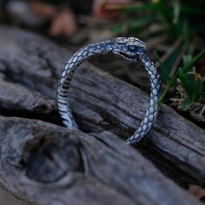 Ouroboros Snake Ring: Viking Norse Gothic Serpent Jewelry