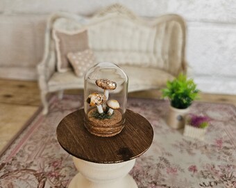 mini decoration for dollhouse Miniature garden ceramic mushrooms in a cloche dollhouse decor 1:12