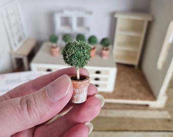 mini Topiary plant decoration for dollhouse Miniature garden moss dollhouse decor 1:12