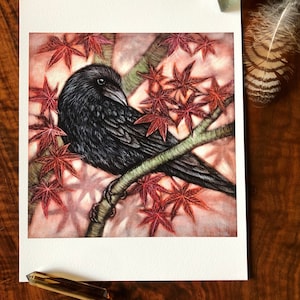 Crow and Japanese Maple Archival Print Crow art-crow ink painting-japanese maple ink painting-crow print-japanese maple art