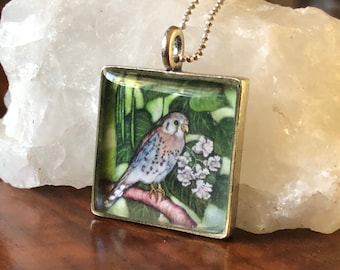 Cernícalo americano y Catalpa/regalo naturalista/colgante de cernícalo/joyería de cernícalo/-collar de cernícalo/naturalista/joyería natural/joyería naturalista