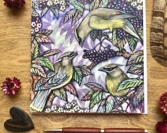 Cedar Waxwings and Elderberry Card, Nature Greeting Card Assortment, fifteen different selections, quantity discount, Art card pack