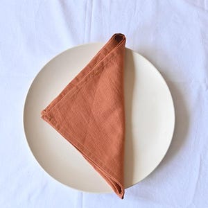 May include: A folded, terracotta-coloured linen napkin sits on a cream-coloured plate. The napkin is folded into a triangle shape, with visible texture. The plate rests on a white, slightly wrinkled tablecloth, creating a simple, elegant setting.