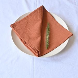 May include: A folded, terracotta-coloured linen napkin sits on a white ceramic plate, with a sprig of green foliage. The plate is set against a white background, creating a simple, elegant presentation.
