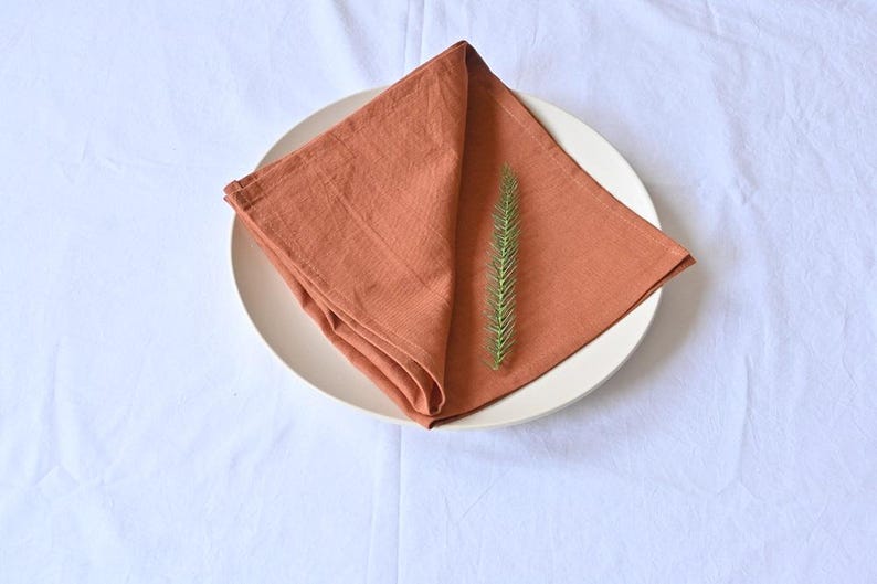 May include: A folded, terracotta-coloured linen napkin sits on a white ceramic plate, with a sprig of green foliage. The plate is set against a white background, creating a simple, elegant presentation.