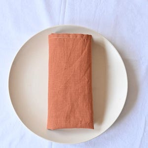 May include: A folded, rectangular terracotta-coloured linen napkin rests on a cream-coloured ceramic plate. The plate is set against a white, textured background, suggesting a dining or table setting theme.
