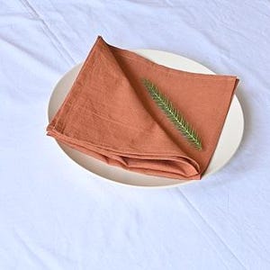 May include: A folded, terracotta-coloured linen napkin sits on a white ceramic plate. A sprig of green foliage is placed on top of the napkin. The plate is set on a white tablecloth, creating a simple, elegant table setting.