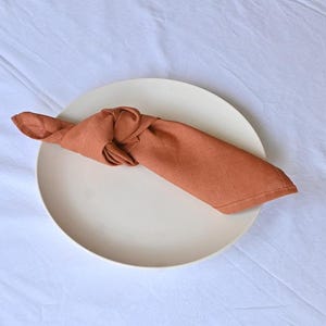 May include: A terracotta-coloured linen napkin, knotted and placed on a cream-coloured ceramic plate. The round plate sits on a white, textured surface. The napkin provides a warm contrast to the neutral background.