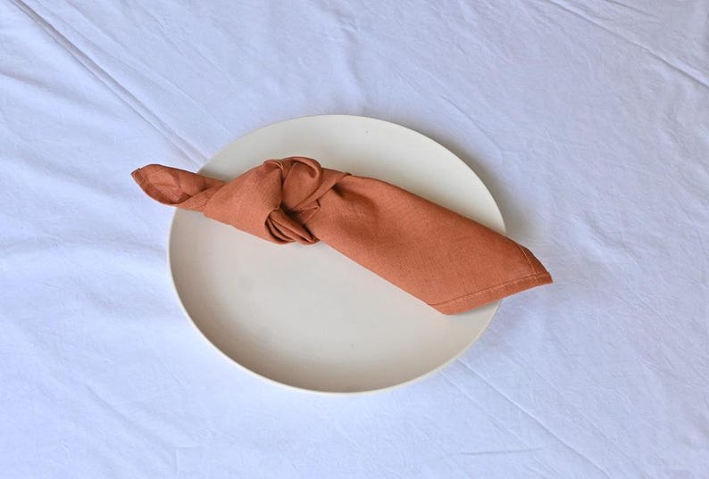 May include: A terracotta-coloured linen napkin, knotted and placed on a cream-coloured ceramic plate. The round plate sits on a white, textured surface. The napkin provides a warm contrast to the neutral background.