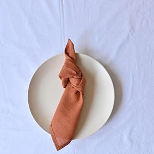 May include: A terracotta linen napkin, knotted decoratively, sits on a cream plate. The plate rests on a white, textured tablecloth. The napkin adds a touch of colour and texture to the minimalist setting.