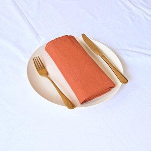 100% Cotton napkin Cloth Burnt orange wedding napkin Set cotton dinner cloth napkin, Cotton Kitchen Cloth napkins Cotton dining table napkin