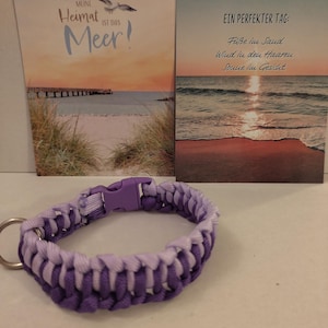 Dog collar - purple