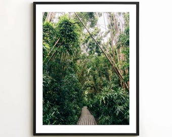 Bamboo Forest Print | Hawaii Wall Art, Landscape Photography, Nature Decor