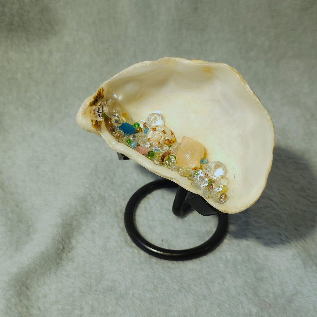 Treasure Shell Treasure Shell With Display Stand - Etsy