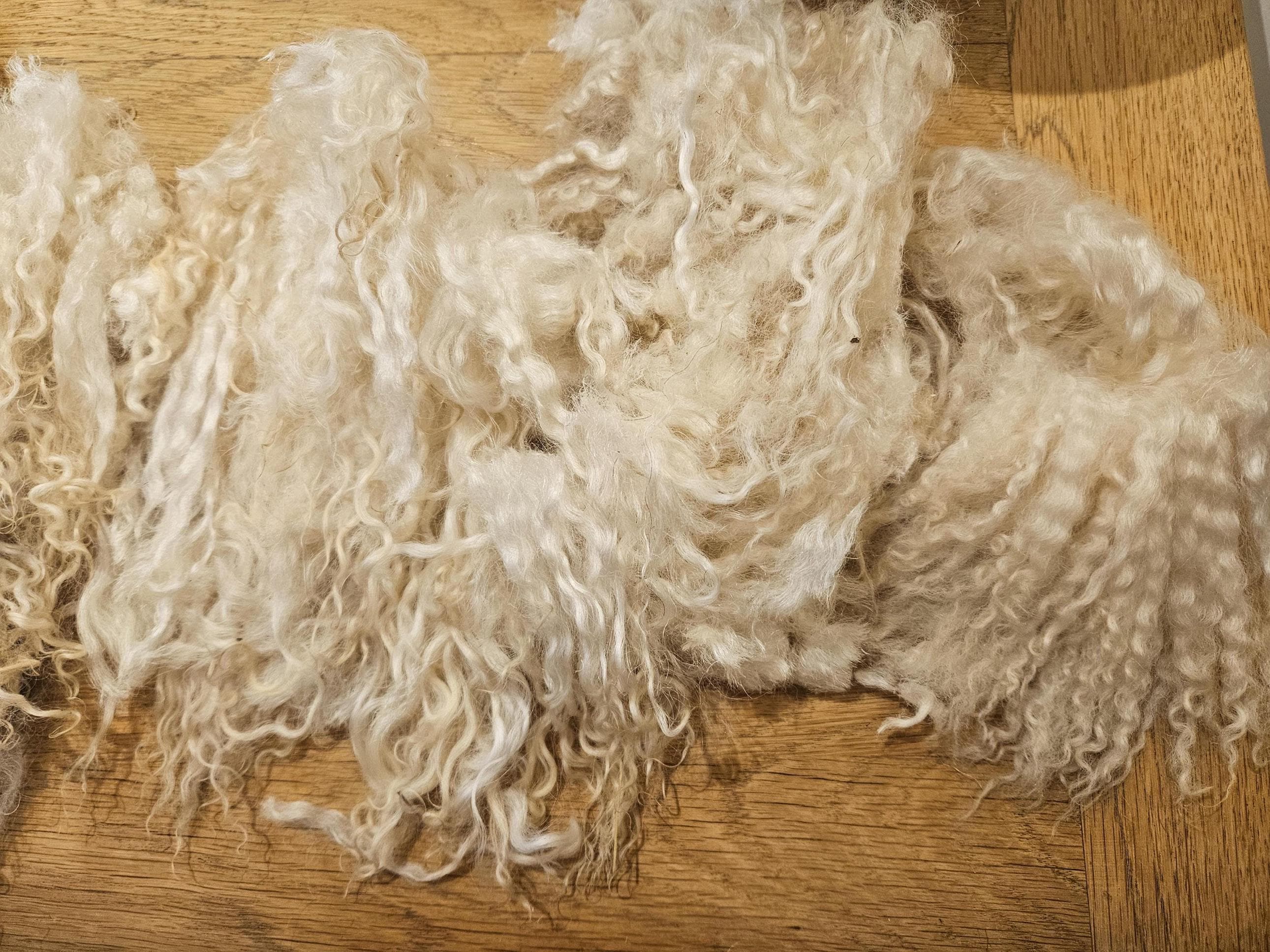 Raw sheep wool - Etsy 日本