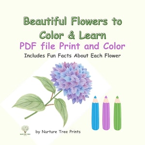 Flower Coloring Book – Learn Names & Fun Facts, Relaxing Activity for All Ages
