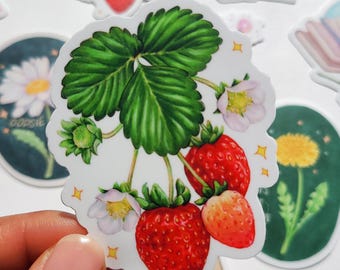 Pegatina de fruta de fresa