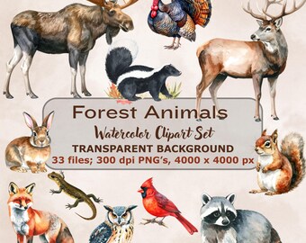 Paquete de imágenes prediseñadas de animales del bosque: Acuarela, fauna silvestre, PNG (descarga digital para uso comercial)