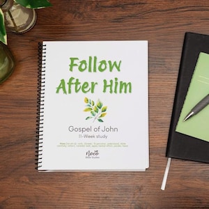 Gospel of John Bible Study Workbook: 11-Week study, spiral-bound w/ daily lessons and group discussion.