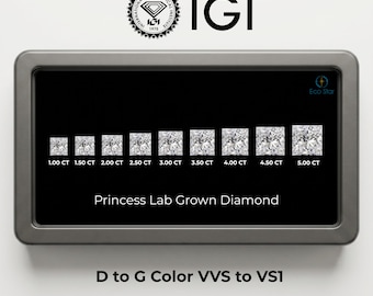 IGI Certified Princess Cut Lab Grown Diamond | 1.00-5.00 CT Loose Stone