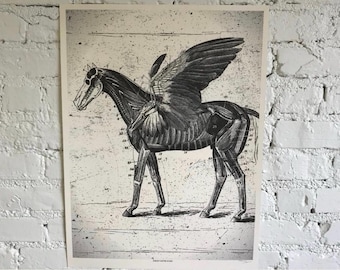 Pegasus Screenprint