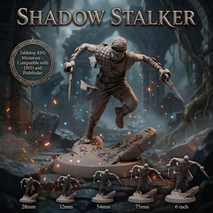 Miniatura de Asesino de las Sombras / Pícaro Sigiloso con Dagas Dobles para DnD, Pathfinder, RPG de mesa de fantasía y figura coleccionable de resina