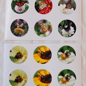 Könnte beinhalten: Blätter mit kreisförmigen Aufklebern mit Schmetterlingen und Bienen auf Blumen. Die Schmetterlingsaufkleber zeigen verschiedene Arten mit orangefarbenen, schwarzen und weißen Mustern. Die Bienenaufkleber zeigen Bienen auf gelben und weißen Blumen.