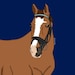 Avatar belonging to LexiEquestrain