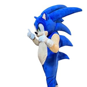 Adult the Hedgehog Mascot Costume – High Quality Cosplay Outfit for Parties, Events, Birthdays & Halloween