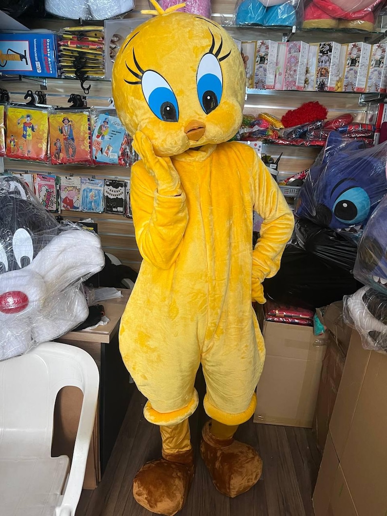 Bird Mascot Costume – Plush Cartoon Bird Outfit for Parties & Events - Etsy
