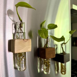 Magnetic Wood Propagation Station- Handmade Plant Cutting Holder with Glass Tube