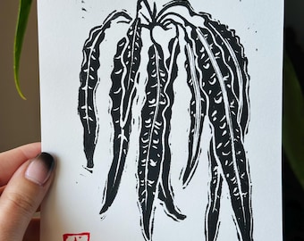 Anthurium Morona Traditional Linocut Artwork - Physical Limited Edition Print