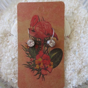 Peut inclure: Une paire de boucles d'oreilles en argent avec des pierres de cristal claires. Les boucles d'oreilles sont pr&eacute;sent&eacute;es sur une carte avec un flamant rose et des fleurs tropicales.