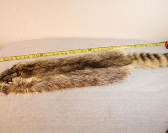 Raccoon Hide Pelt, Tanned