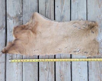 Puede incluir: Una piel de animal de color beige y marrón con textura de pelaje, colocada sobre una cinta métrica amarilla que indica una longitud de aproximadamente 91 centímetros. La piel presenta variaciones naturales de color y densidad de pelo.